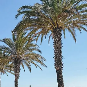  Apartamento Studio Roses Plage
